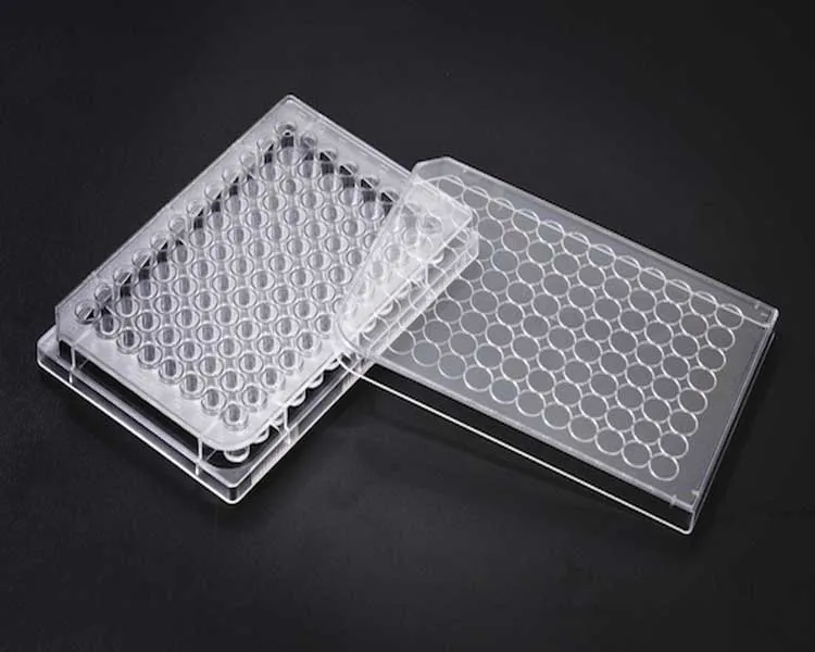 PS flat U bottom V bottom 96 deep multi well cell culture plate