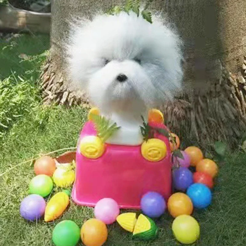 Pet Groomer Practicing Dog Head Wig Teddy Head Model