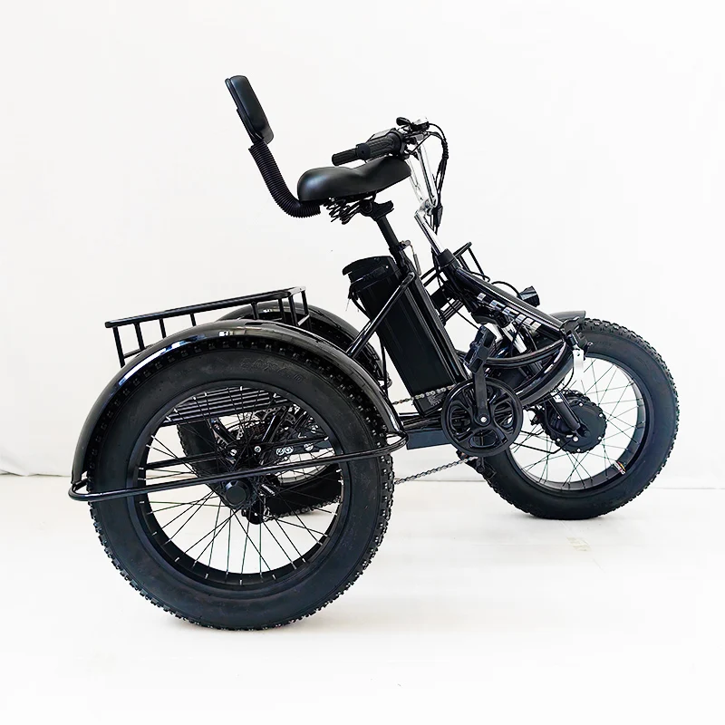 Three Wheels Adult Cargo Electric Bike 20 Inch Triciclo Electric Trike 350W Motor foldable alloy frame 3 Wheel E Bike Tricycle