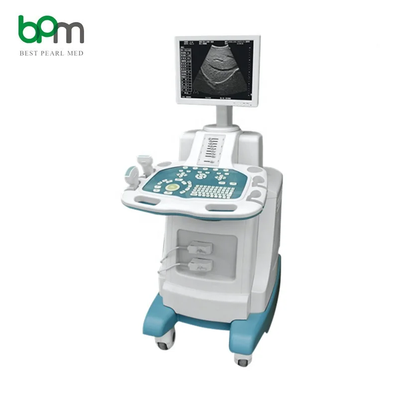 Cheapest Trolley B/W B Ultrasound Price 2D Cheap Ultrasound Machine