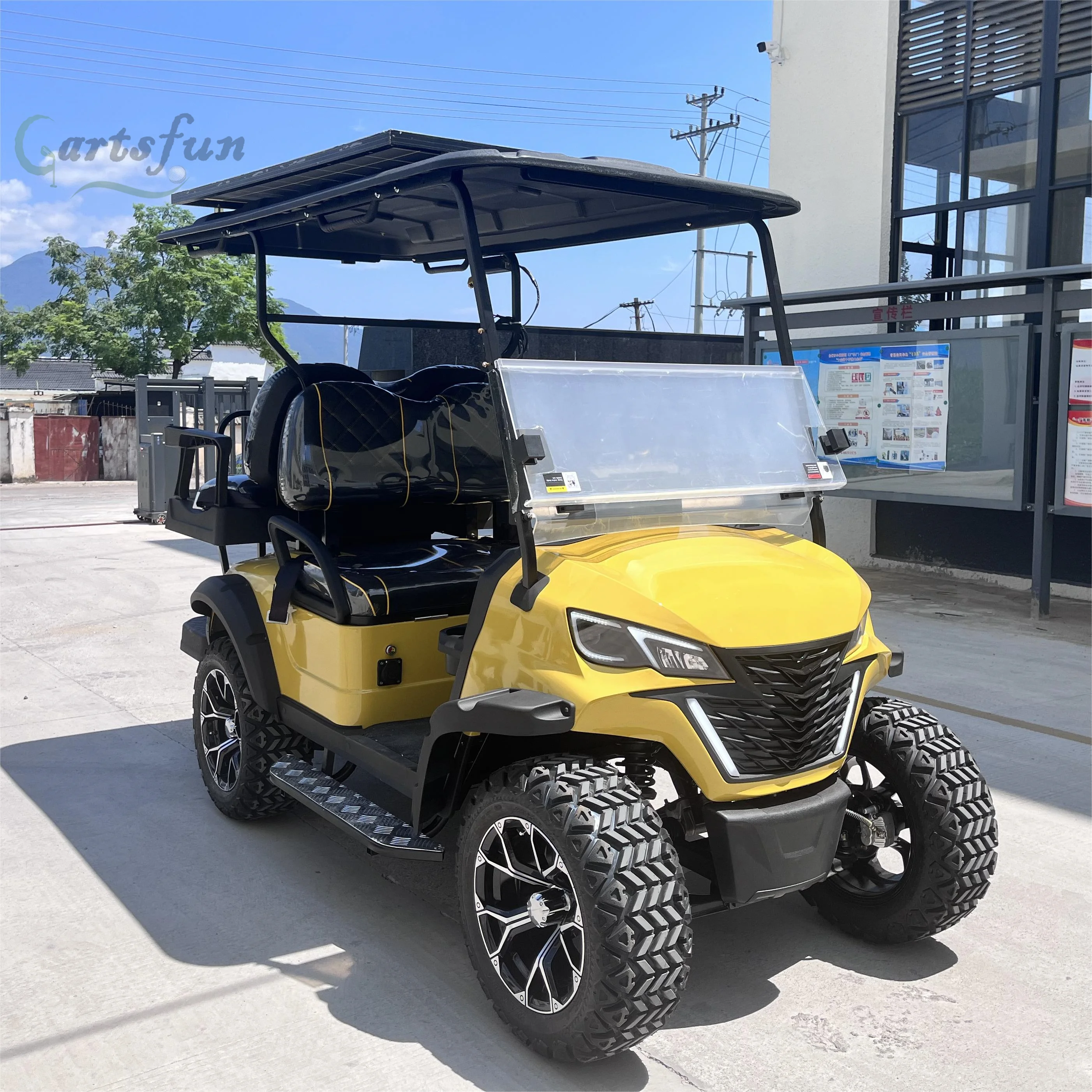 Customized Gas Powered Golf Cart with Special off-Road Tires