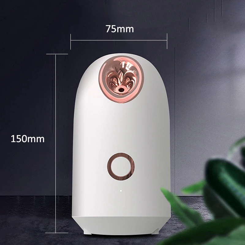 
Beiyuan Beauty Personal Care Beauty Homeuse Vapozone Vapor Facial Steamer Face Steamer 