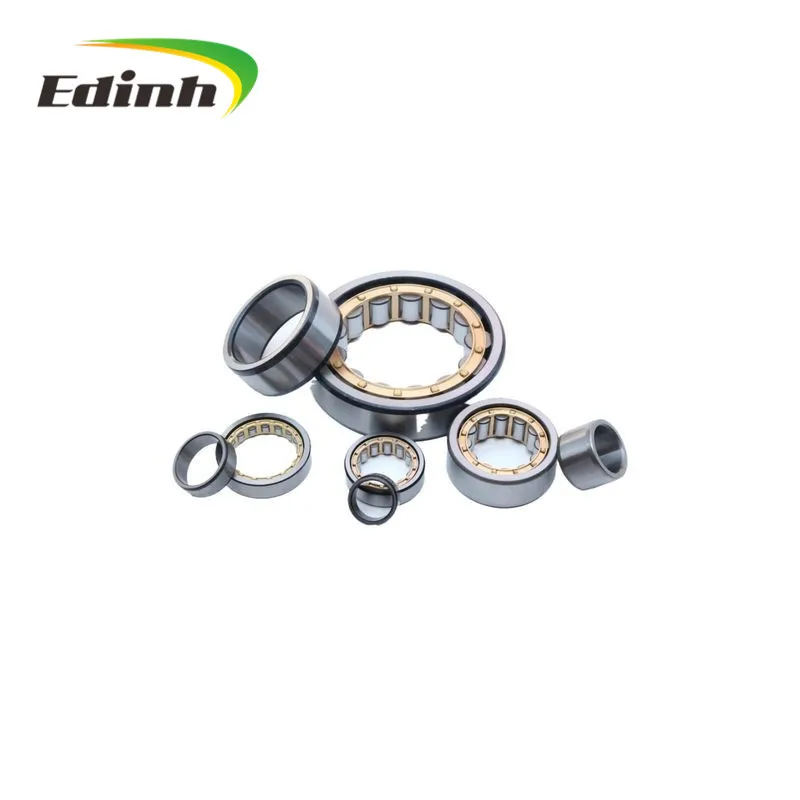 NJ424 NJ1004EM NJ1005EM NJ1026 NJ2205 NJ2311 RN206M F-554377 Import Cylindrical Roller Bearings