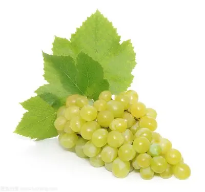 Fresh sweet grapes (seedless/seeded, green) for sale (1600795269790)