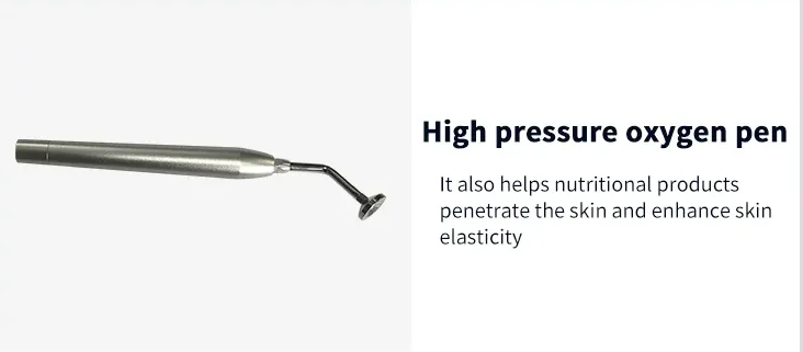 Hydra  handpiece Hydra in Facials handle handpiece