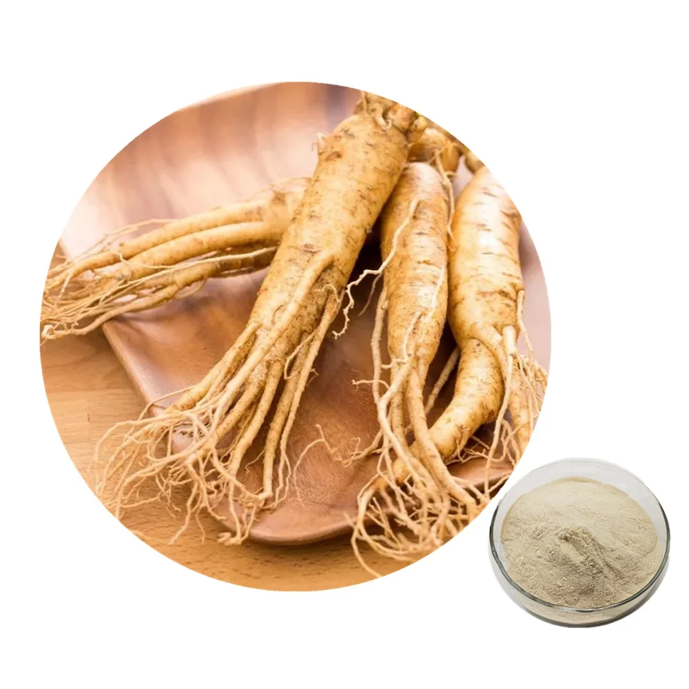 Supply High Quality 99% Panax ginseng extract ginseng powder for ginseng