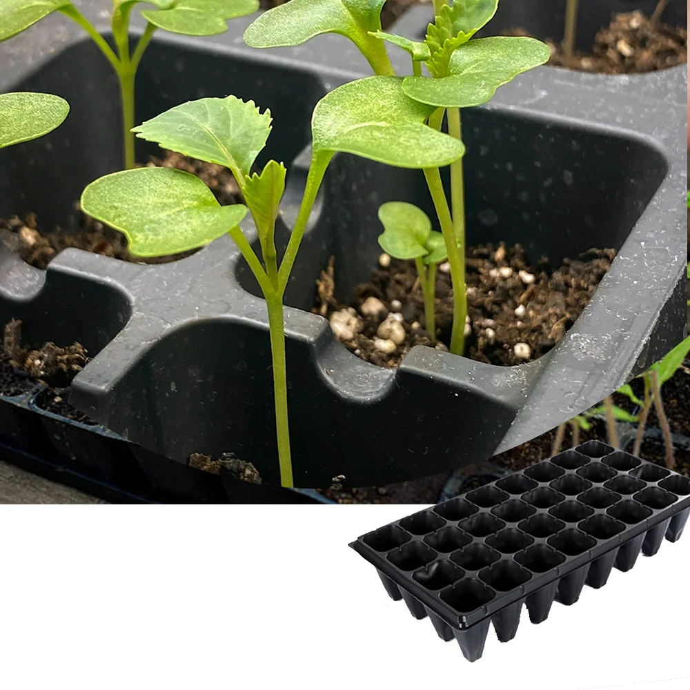 Convenient plastic seed sprout grow germination seedling tray for vegetables nursery