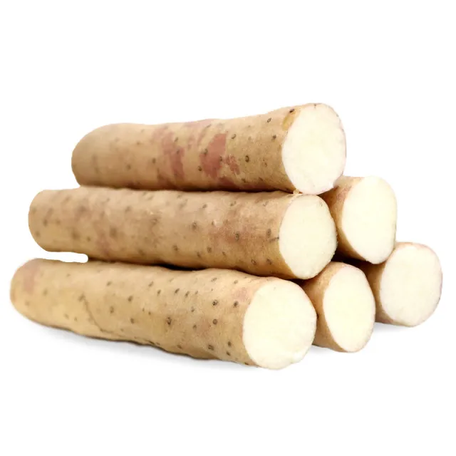High Quality Nutritious Chinese Vegetables Fresh China White Yam for Sale with Vacuum pack Iron Yam