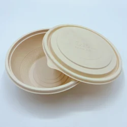 Food Grade Biodegradable Water Proof Sugarcane Bagasse Food Takeaway Container