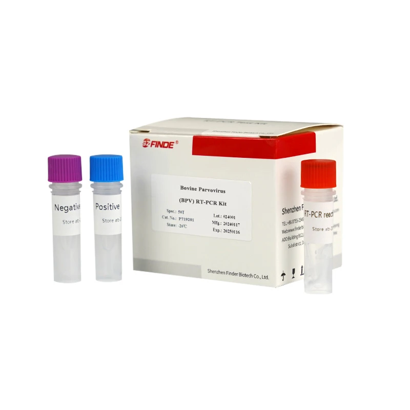 Bovine Parvovirus (BPV) RT-PCR Kit for Accurate Detection and Diagnosis