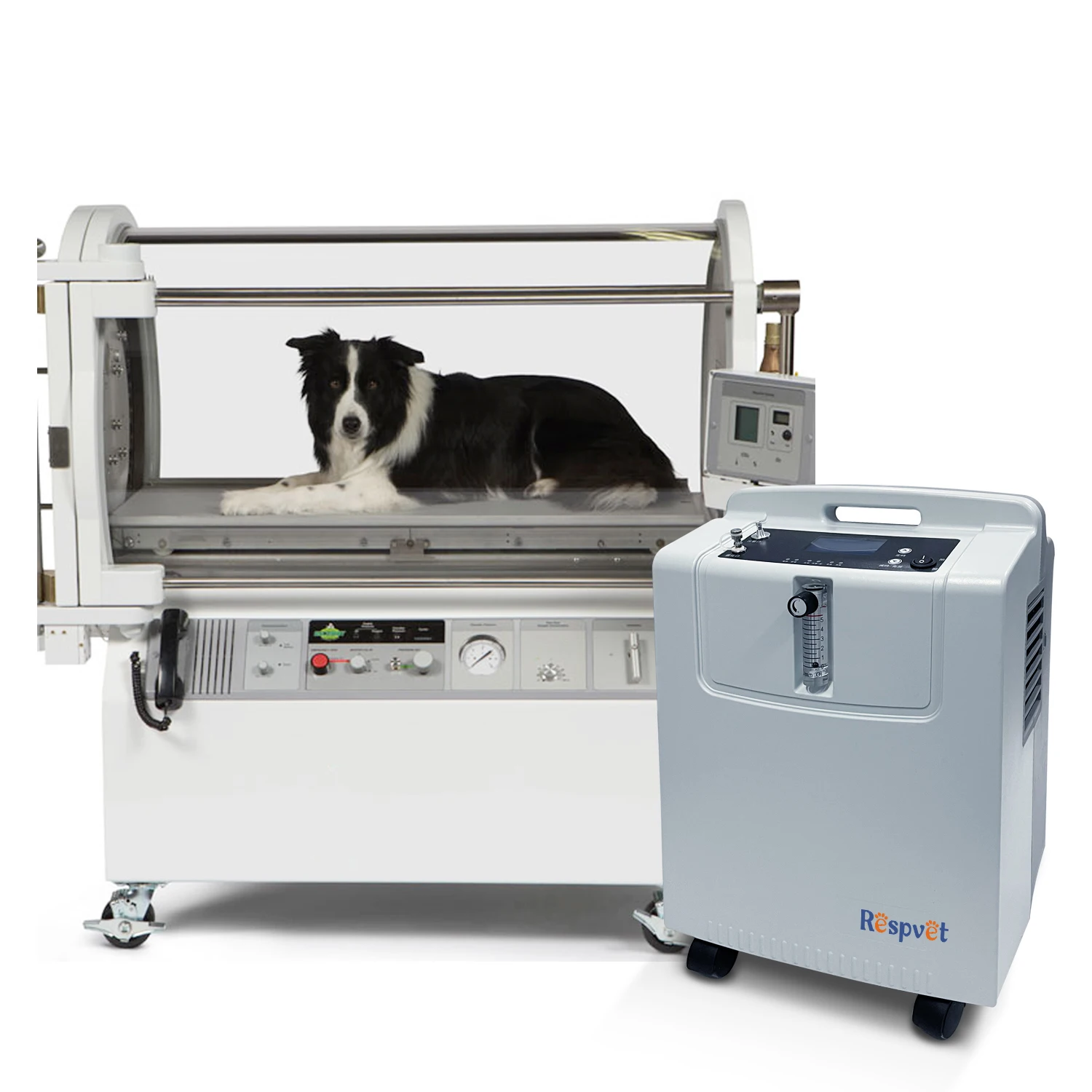 longfian Rescue 5L Veterinary Oxygen Concentrator for Emergency Breathing Support for Animal Medical Centers
