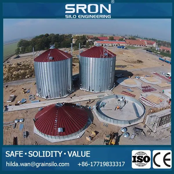 Customized 1000kg Silo for Corn Wheat Soybean Flour Storage