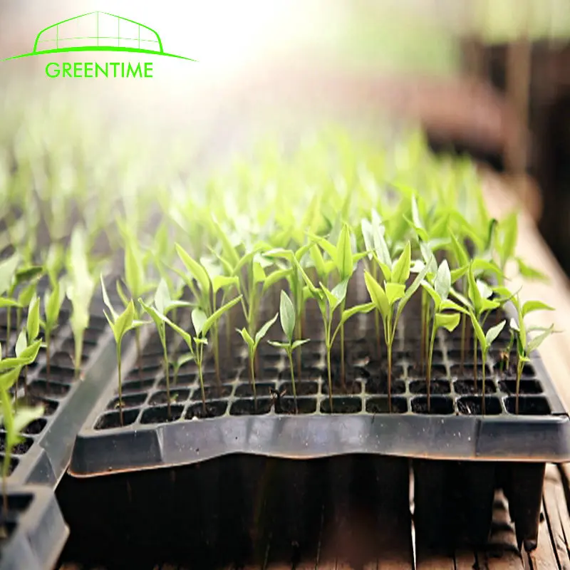 200 cells plastic  Plug seedlings pot dish for vegetable and flower in greenhouse