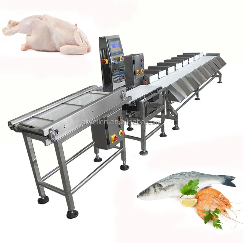 Automatic Shrimp Grader Weight Sorter Check Weight Chicken Fish Conveyor Belt Package Seafood Grading Sorting Machine