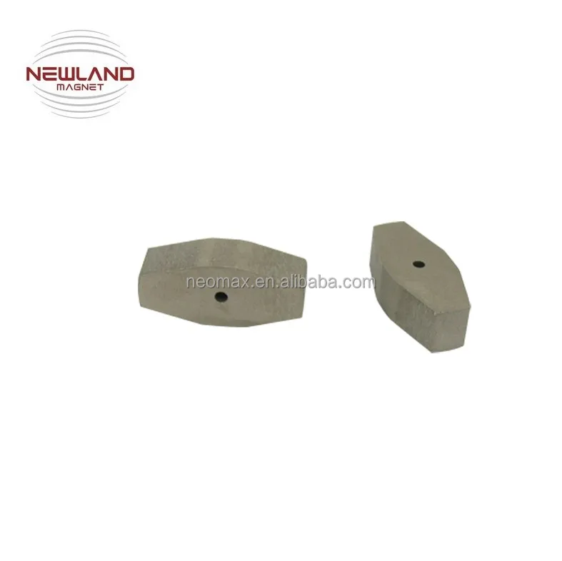 Custom Special Shaped Strong SmCo5 Magnet Sm2Co17 Magnet