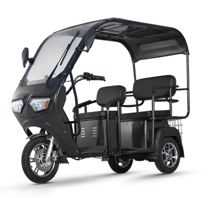 2024 New Electric Trike 650W Family Vintage Cargo Electric Tricycle 3 Wheel Electric Bike with roof