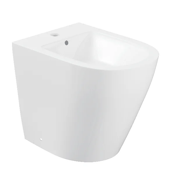 European Australian Certified Modern Bidet Toilet Concealed Tank Direct Wall Hung Design Ceramic HDPE Sanitary Ware for Bathroom