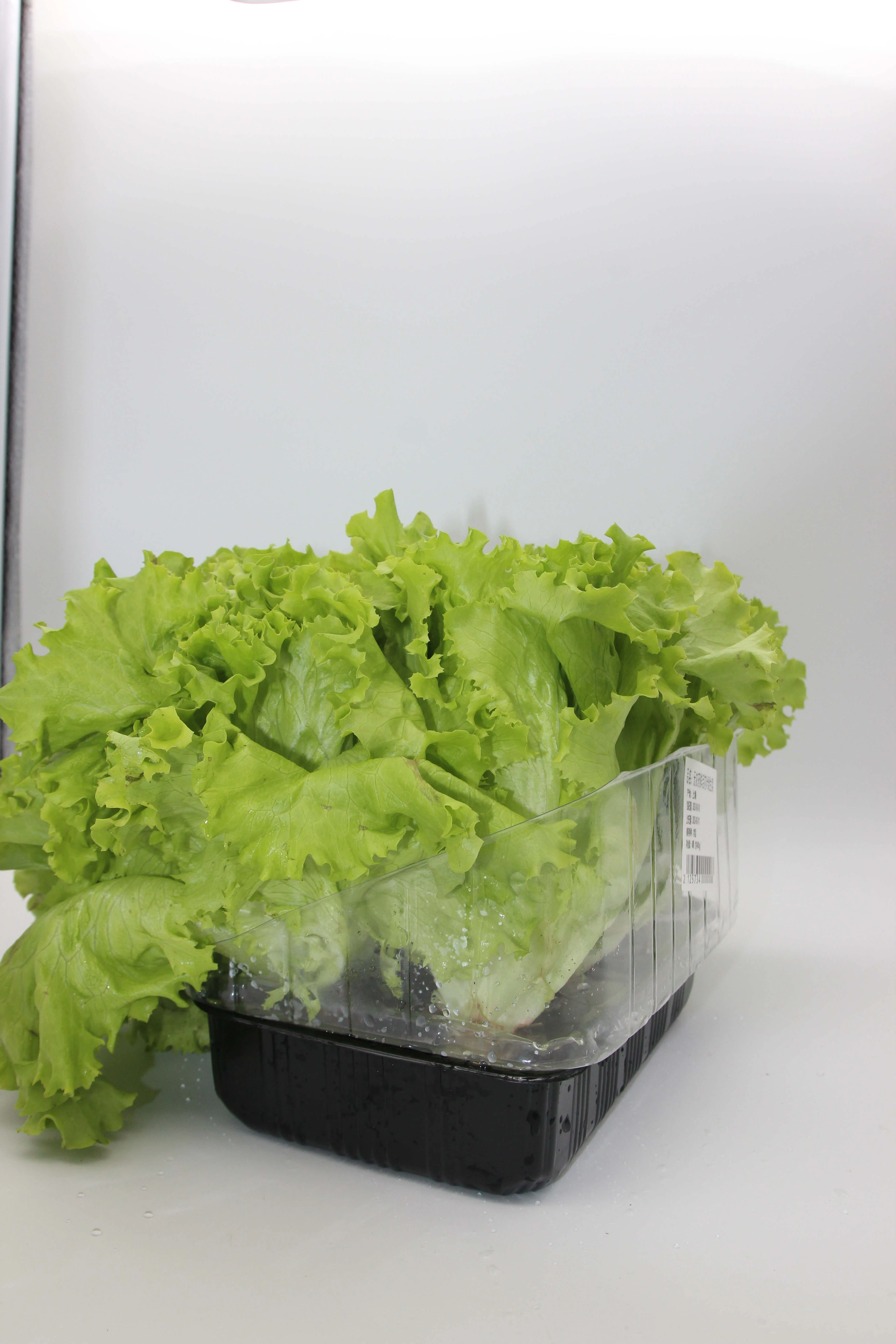 High Grade Wholesale Planting Tray Nursery Trays Garden Stuff Planting Pot