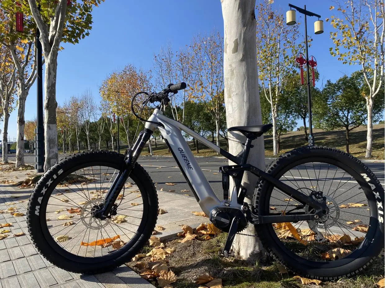 QUEENE 750w G510 Mid Drive Motor Fat Bike 26X4.0 Ebike 1000w Bafang M620 Full Suspens Ebike Electric Mountain Bike