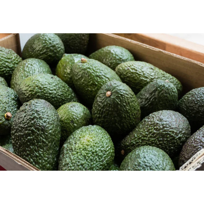 Fresh Premium Avocado From Mexico Processing Plant - High Quality, Best Price, Directly From Producers