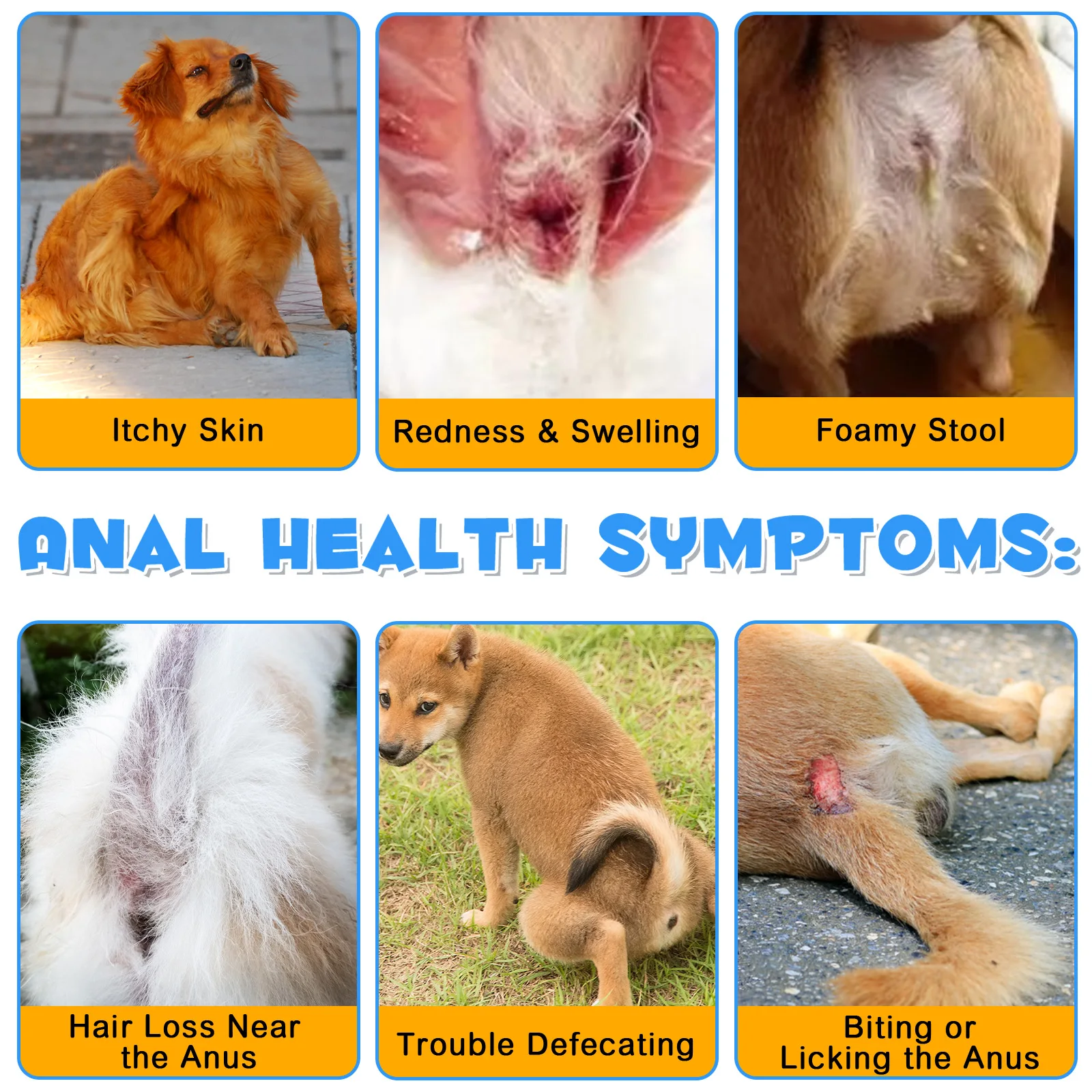 Oimmal Wholesale Pet Fiber Supplements Anal Gland Powder for Dog Digestive Health with Pumpkin Digestive Enzymes Probiotics