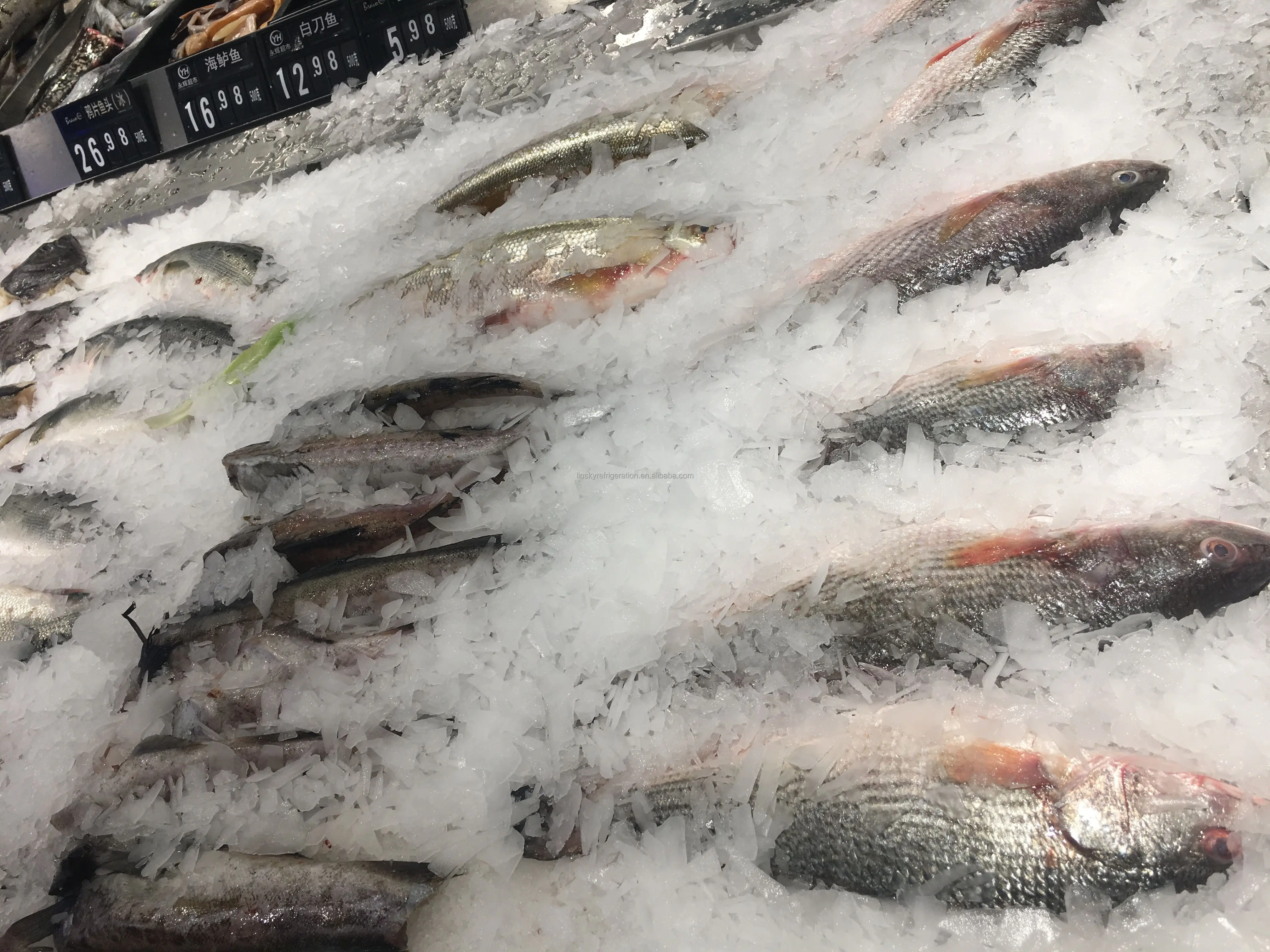 Ice maker 3000kg /24 hours seawater Marine ice maker