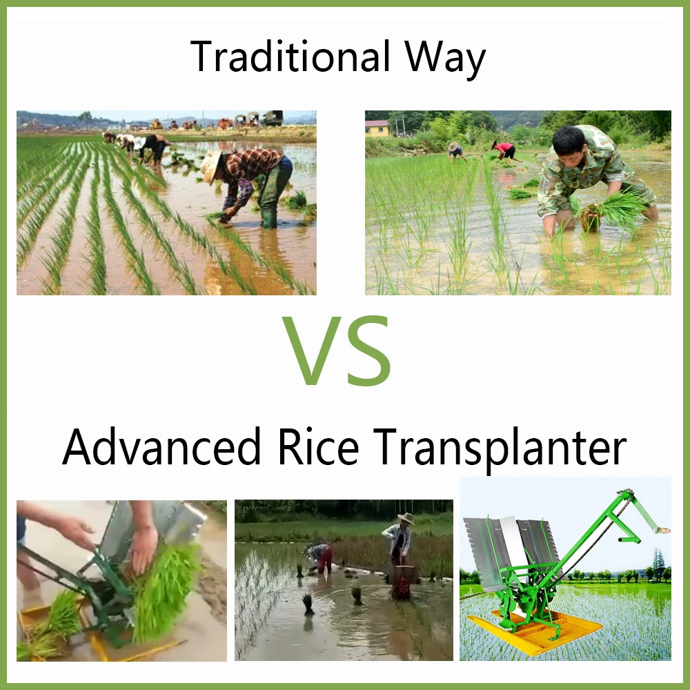 China 2 Row Manual Hand Cranked Paddy Rice Transplanter Price In Myanmar