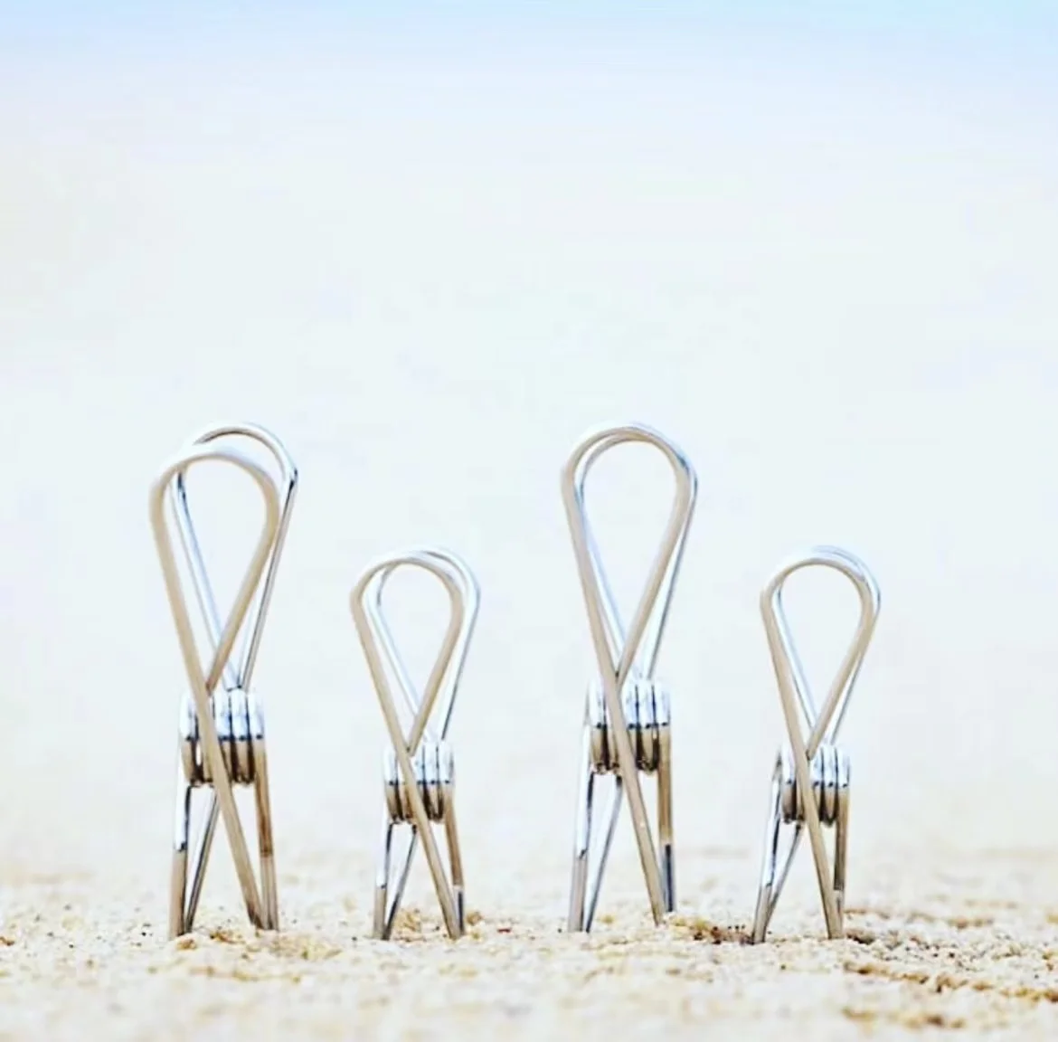 Healthbu marine grade stainless steel clothing peg