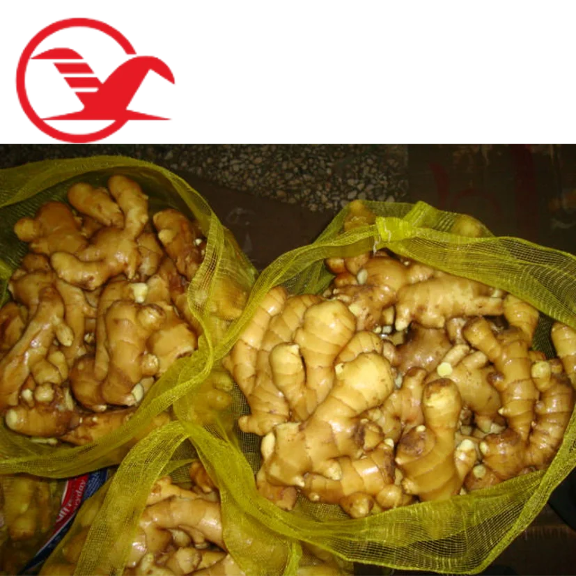 China factory sale 22 kg Mesh Bag Fresh Yellow Shandong Ginger Jengibre Gingembre