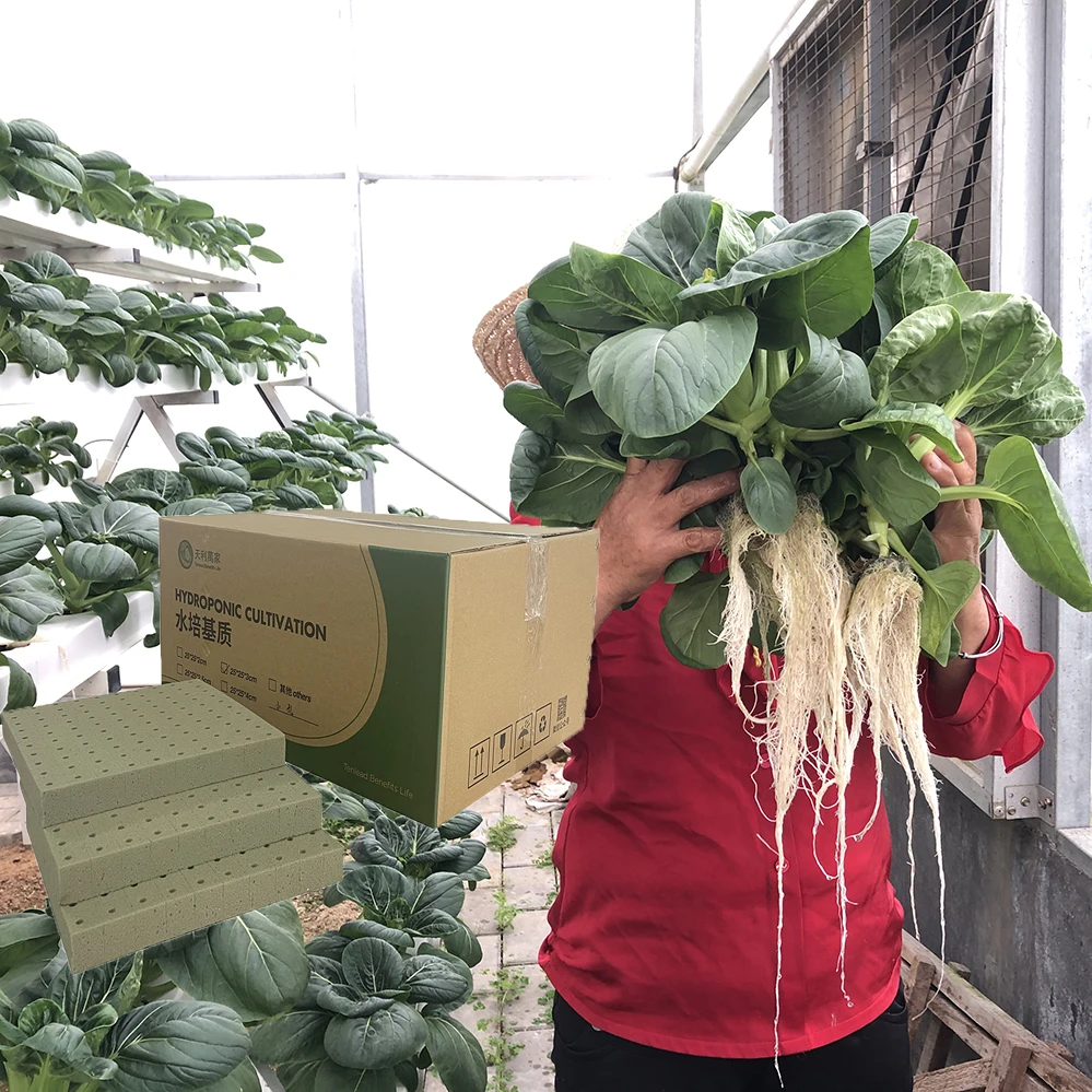 Hidroponic Foam Grow Cubes Starting Plant Substrate For Plants Seeds Vegetables