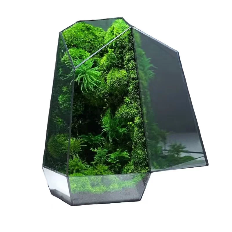 Wholesale Gift Box Artificial Plants Preserved Moss Placed in a Glass Cover