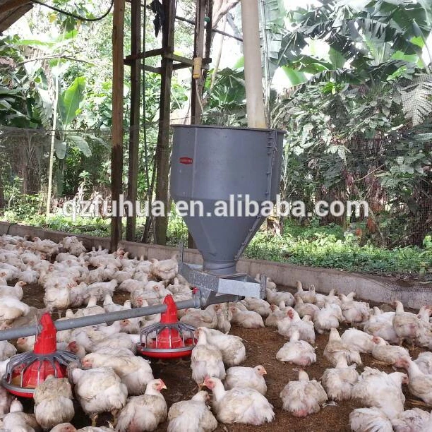 Новые продажи! Высококачественная кормушка для птицы курицы