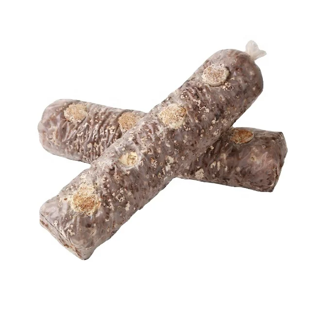 Wholesale bulk prices best shiitake mushroom spawn made of qihe biotech shipped from Qingdao sea port