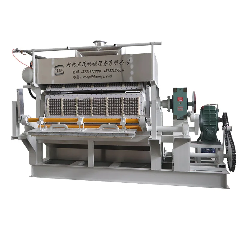 Wongs 7000 Pcs/hr Full Automatic Biodegradable Packaging Paper Eggs Carton Tray Making Machine