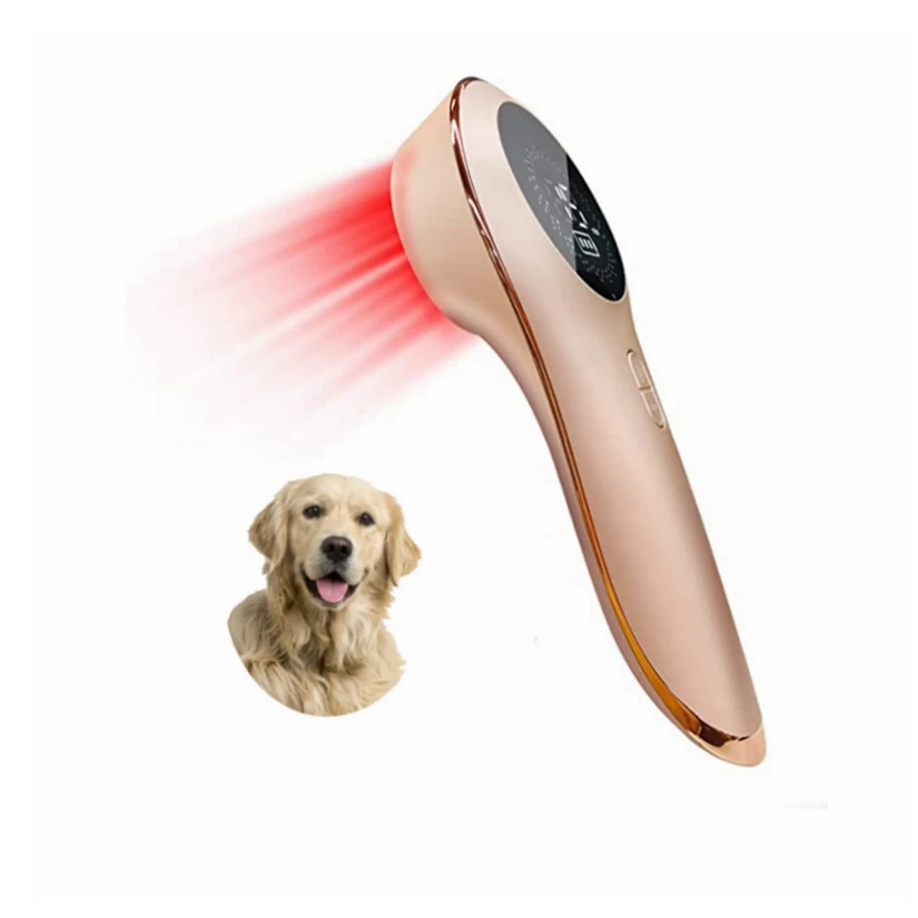 Diode Laser veterinary equipment equine physiotherapy for wound healing