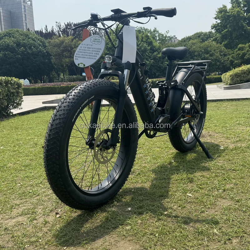 dual motor ebike 5.jpg