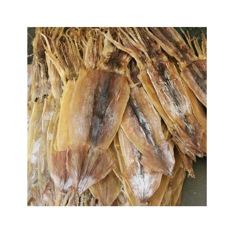 Wholesale Greece High Quality Simonfish Amsterdam Good Price Delicious Fresh Frozen Seafood Wild Dried Squid