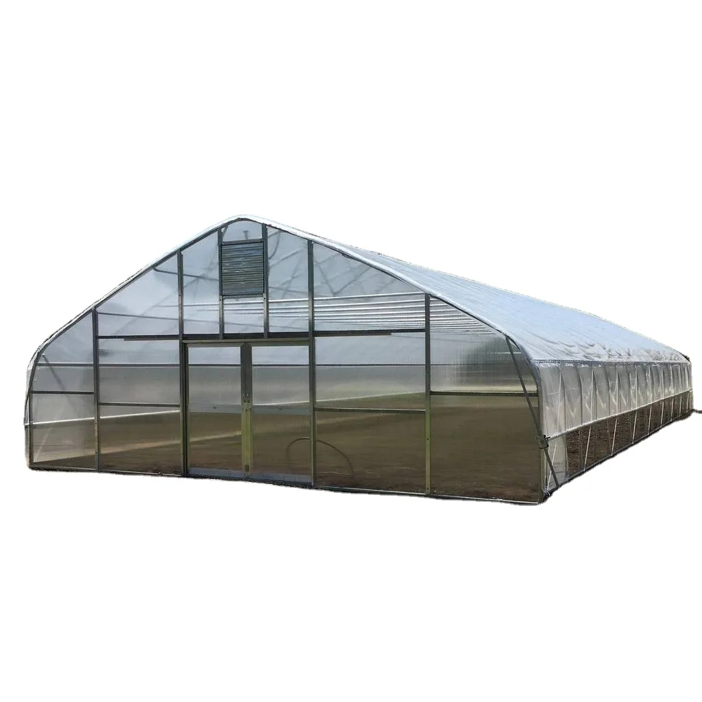 Hot Sale Sainpoly Economical Tunnel Greenhouse Design for Growing Vegetables