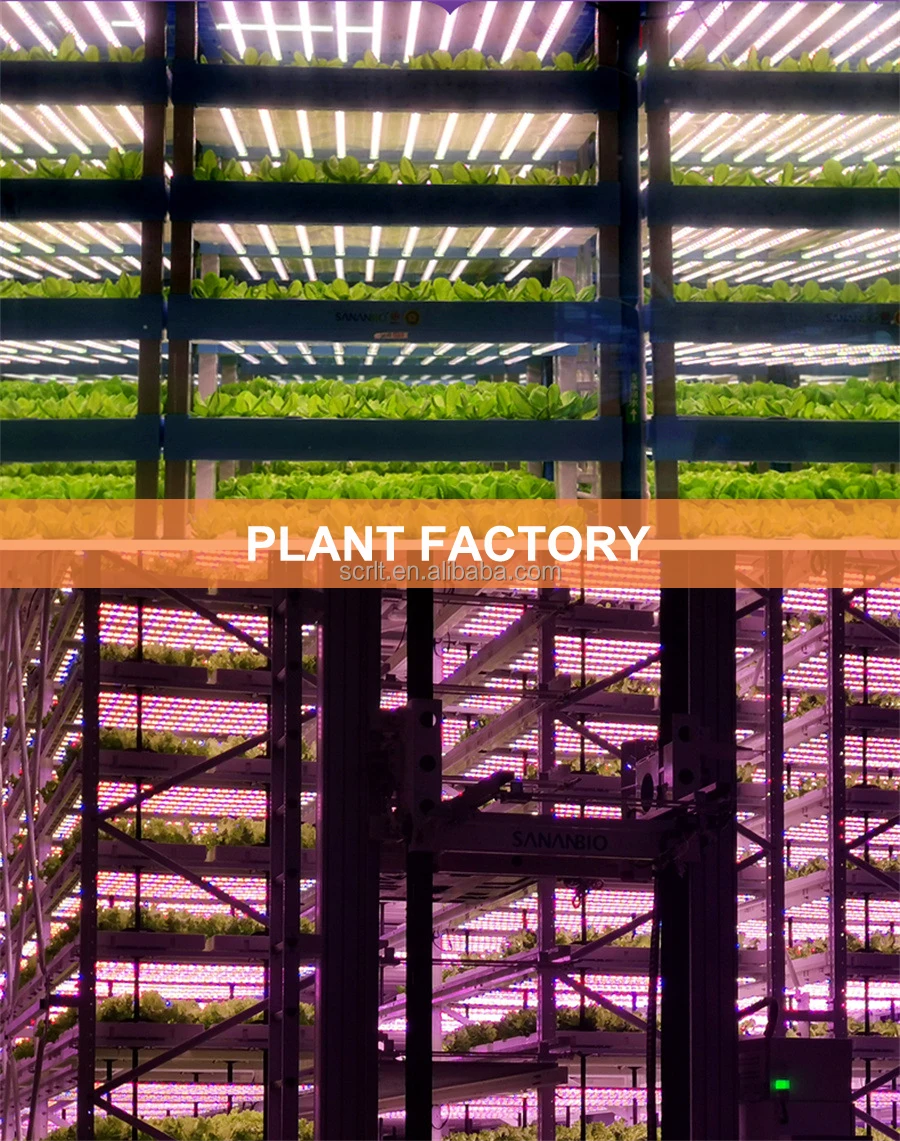 T8 Tubes Grow Light High Brightness Indoor Plants Leds Full Spectrum LED waterproof IP65 home plant factory lighting 0.9m 14W28W