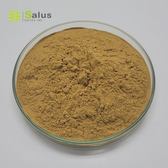 Factory Wholesale Huperzia Serrata Extract 1% 98% Huperzine