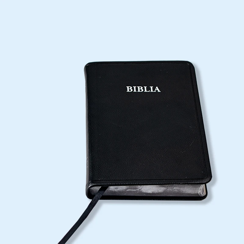 customized hardcover English Spanish catholic kjv nlt version holy bible book printing factory service gold silver gilding