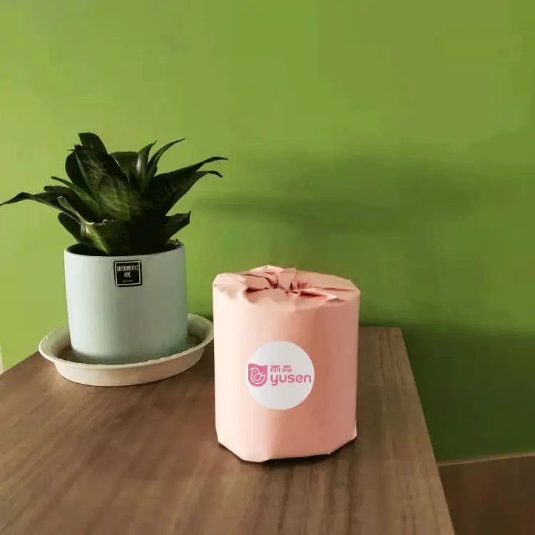 100% Virgin Bamboo Pulp Biodegradable Soft Toilet Paper Bathroom Small Roll Toilet Paper