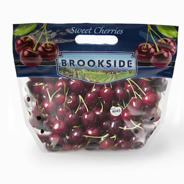 Top quality perforated plastic ziplock bags for grapes cherry with handle