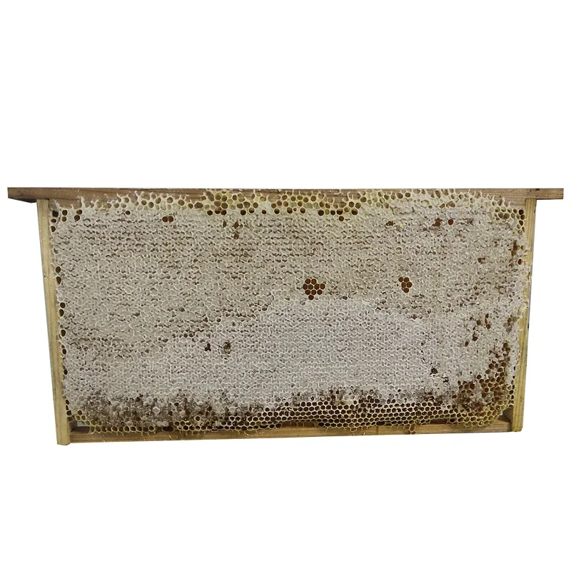 100% Natural Raw Sidr Comb Honey Jujube Bee Products one Whole Frame