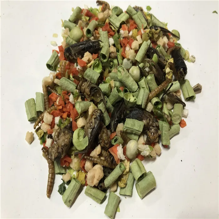Customized freeze dried omnivore mix food for reptile, animal feeding