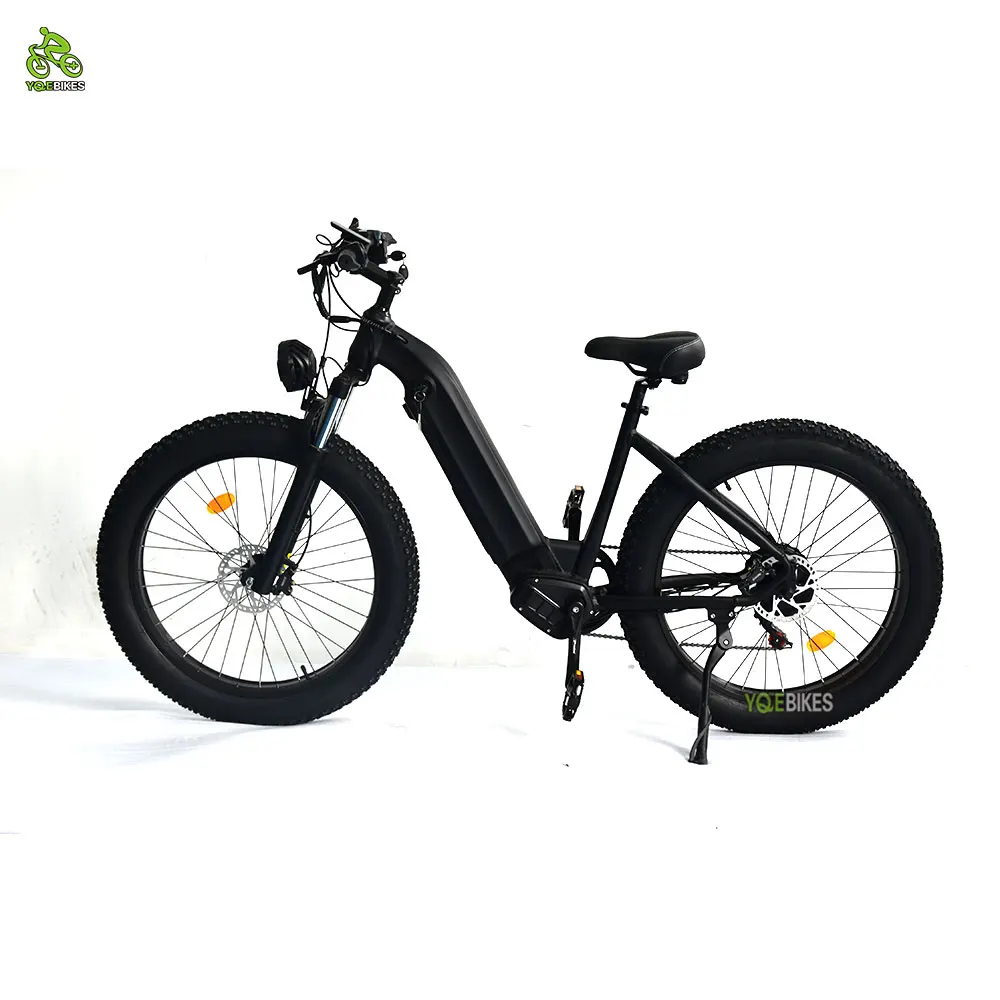 YQEBIKES  Custom Make 26*4.0 Family People Electric Bicycle 48V 1000W  Pedal Assisted  Electric City Leisure Bike