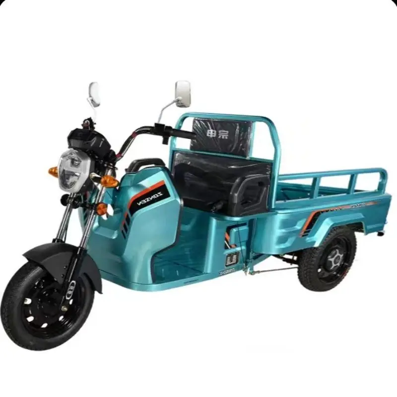 1000W wholesaler adults Multi-functional convenience tricycle electric bike electric cargo tricycle Triciclo Electrico