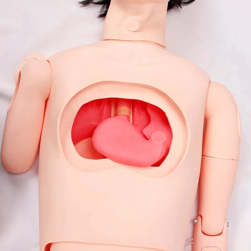 DARHMMY Advanced Full Function Mannequin Medical Science Nursing Training Manikin for Medical Professionals
