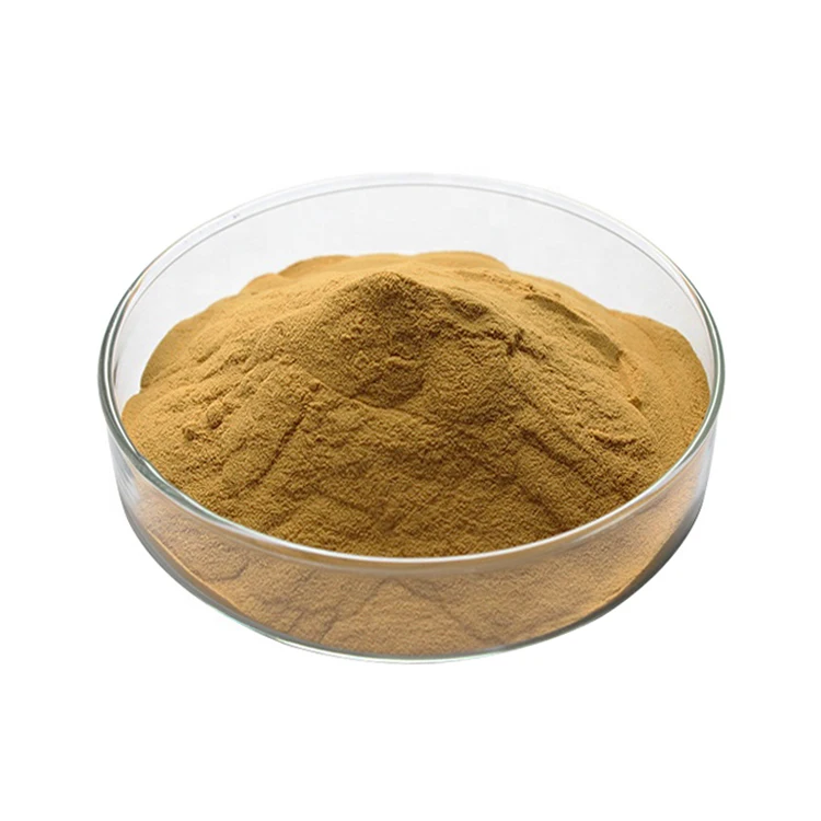 Hot Selling Health Supplement Plant Stinging Nettle Root Extract Powder