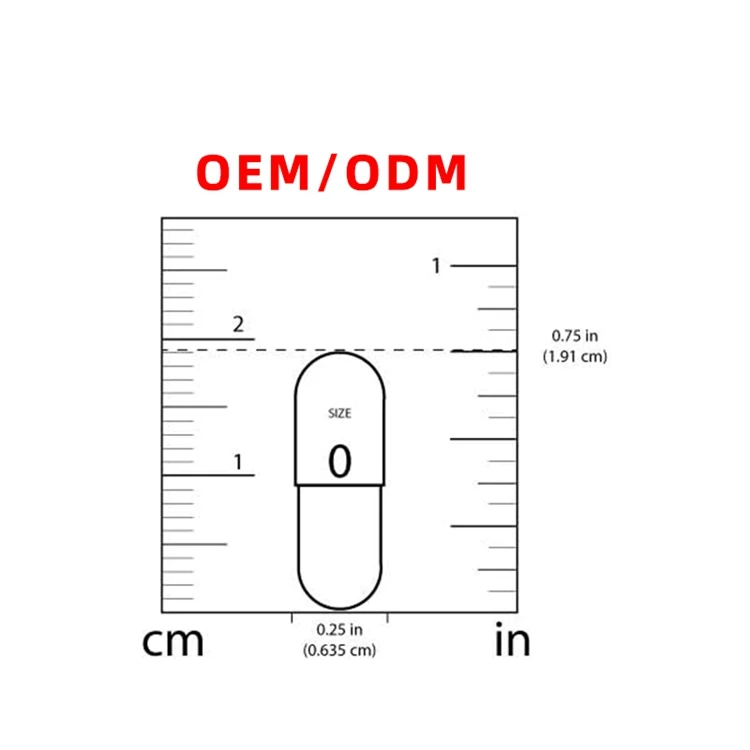 Niacinamide Vitamin B3 500mg 240 Capsules Non GMO Gluten Free Flush Free Vitamin B3